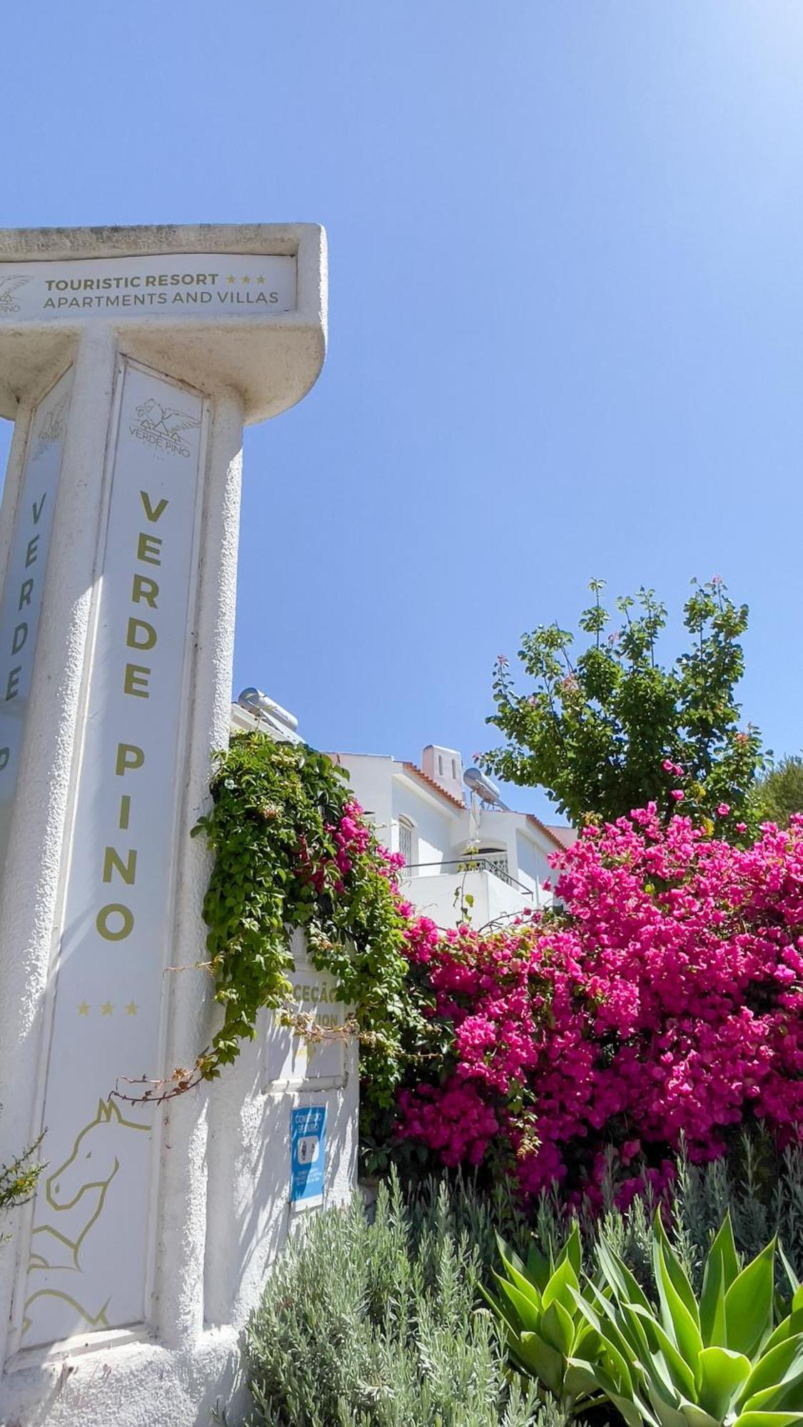 Verde Pino فيلامورا المظهر الخارجي الصورة